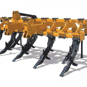 dondi-300x300-1